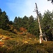 Der Herbst ist wohl die schönste Zeit für eine Bergwanderung auf den Pic de Comapedrosa.