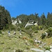 an die Sonne!
steil geht es erst im Wiesenhang hinauf 