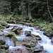 lauschiger Fellibach 2