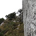 Kurz vor dem Gipfel kann man auf diesem Band hochsteigen. Ich hingegen klettere auf dem Felsband rechts im Bild einige Meter hinauf.