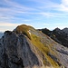 im schönen Rofangebirge