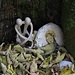 Der Stein mit der Madonna lag schon länger am Weg in einer Baumhöhle. Nun sind diese Menschlein dazu gekommen. Das Bild ist für [u Mong], weil er sicher weiß, was die Blätter dazu erzählen.<br /><br />Il sasso con la madonna si trova in una grotta di un albero da molto tempo. Adesso qualcuno ha aggiunto questi uomini. Questa foto è dedicata a [u Mong], perché lui sicuramente sa, cosa ne raccontano le foglie.