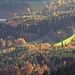 Bunter Wald beim Schloss Linderhof<br /><br />Selva colorata vicino al castello di Ludovico II a Linderhof<br /><br />
