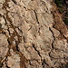 Fossile Trockenrisse des Perm