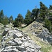 letzte schöne Felsrippe und Wanderwegzaun ersichtlich, die Steilgrasflanke ist hier nur zu erahnen