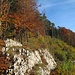 Der Dürstelberg erstrahlt in den herrlichsten Herbstfarben.