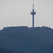 Von der Silberecke schaut man hinüber zum Sender auf der Hohen Reut.