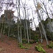Stumpfelestein. Laut Schild Kletterzone 3, d. h. sowohl vorhandene als auch neue Routen dürfen geklettert werden.