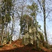 Gipfelfelsen am Bitzenberg