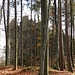 Nochmal der Bitzenberg von der anderen Seite