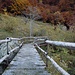 ponte prima di Alpe Fumegn