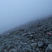 Ab 2500m geraten wir in dichten Nebel.
