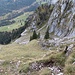 Abstieg vom Haggenspitz zum Griggeli, wenig unterhalb vom Griggelisattel. Die Wegspur verläuft oberhalb der Tannengruppe nach rechts und ist auf dem Bild schwach erkennbar. Danach verliert sich die Wegspur.