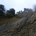 im offenen Gelände. Links im Bild der obere Teil des bewachsenen Sporns, der einen vernünftigen Aufstieg durch die Westwand Richtung Gipfel erlaubt.