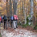 <b>Incrocio un folto gruppo di escursionisti d'Oltralpe.</b>