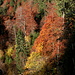 Leuchtende Herbstfarben im Abstieg