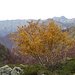 Magie di colori