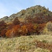 Esplosioni di colori