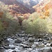 Rio Fiorina