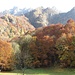 Colori