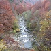 Rio della Val Gabbio