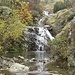 Rio Serena