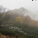 Giochi di colore nella nebbia