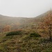 Scendendo dalla Colma