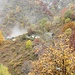 Alpeggi e colori