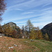 Herbst auf der Genneralm, hinten das Holzeck