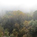 Schöne Herbstfarben in Nebel gehüllt.