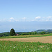 Blick über Wiesen und Äcker der Monts de Chardonne zum Genfersee