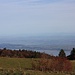 Neuenburger- und Murtensee.