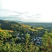 Blick in Richtung Weinheim mit Höhenzügen bis 400 Meter Höhe