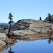 Unique scenery: all granite, lots of little lakes and here and there a pine tree