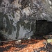 Höhle bei der Abzweigung nach Cholholz bzw. Lochboden.