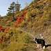 Auf genussreichem Wanderweg