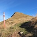Eine der vielen roten Markierungsstangen im steilen Wiesengelände kurz vor dem Gipfel der Jöchlespitze.