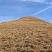 Steile Wiesen leiten südseitig auf die Rothornspitze hinauf; die untere Hälfte des Anstiegs verläuft pfadlos, während .....