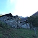 Salvabella