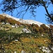 Mergozzo
