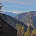 Cortasell