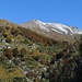 Valle di Chiegg,<br />Mergozzo, Pizzo d'Orgnana