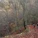 Autunno in Val Dumentina.
