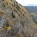 Sicht über den Sulzgraben zur Steinbockhütte am Ängifeld