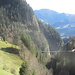 Leiterenweideni und die neue Hängebrücke