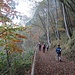 Autumn in Cornalba (© Isi)