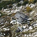 Ah, an der Toni-Lenz-Hütte packt jemand seine Jause aus!