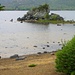 Der Muckross Lake