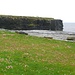 Die 'kleinen' Cliffs bei Kilkee. Und es blüht auch in Irland..